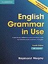 English Grammar in Use: A Self-Study Reference and Practice Book for Intermediate Learners of English - with Answers