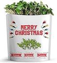 MERRY CHRISTMAS Greeting Card by GIFT A GREEN | Xmas Greeting Cards with Organic Microgreens! Just Like A Post Card, Simply Mail and Recipient Gets to Grow & Eat | Cards for All Occasions | 1 PACK