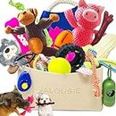 Jalousie 24 Pieces Dog Gift Basket for Medium Dog Breeds, Large Breeds, Small Breeds, Squeaky Toys, Plush Toy, Rubber Toys, Rope Toys, Training Toys and a Dog Toy Basket - Puppy Starter Kit