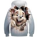 HEYLInUP Cartoon Bear Unisex Teen Boys Girls 3D Printed Hoodies Kids Sportswear Cute Animals Hoody Jumper Funny Clothes Long Sleeve with Pockets Age 6-15 13-15Y