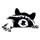 Raccoon Funny Car Sticker Vinyl Decal for Auto Car Stickers Styling Car Decoration Car Accessories 20x13 CM (Color : A, Size : 20x13 cm)