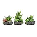 Pure Garden Artificial Succulent Plants - 3-Piece Arrangement Set in Faux Stone Pots and Assorted Sizes - Lifelike Greenery for Home Decoration