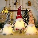EFEMIR 3Pcs Sequin Christmas Gnomes Plush with Light, 11.8inch Handmade Swedish Santa Gnomes Plush with Sequin Hat, Christmas Elf Decoration Ornaments, for Thanksgiving Gift Xmas Table Decor