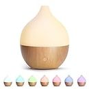 SALKING Essential Oil Diffuser, 100ml Small Aromatherapy Diffuser, Ultrasonic Diffusers for Essential Oils, Cool Mist Humidifier with Warm White Lights, Auto Shut-Off Function, for Office Home