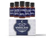 Mystic Moments | Woodland Essential Oil Gift Starter Pack 5x10ml | Birch Sweet, Cedarwood Himalayan, Patchouli, Pine Sylvestris, Tea Tree | Perfect as a gift