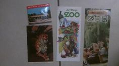 San Diego Zoo Postcards & Brochures - Lot Of 4
