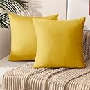 My home store Velvet Cushion Covers 45 x 45 cm- Premium Decorative Throw Pillowcases - Pack of 2 Gold Cushion Covers for Sofa Living room with Invisible Zipper, 18 x 18 Inches