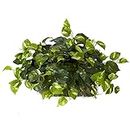 Nearly Natural 15in. Pothos Ledge Plant (Set on Foam) Silk Plant,Green