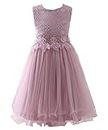 AbaoSisters Flower Girl Dress Lace Crochet Bow Sash Party Wear 6-13 Year Old (10-11 yrs, Pink)