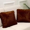 Catchyx Cart Fur Cushion Cover Pillowcase Decorative Throw Pillows Covers, Square/Rectangle Shape,No Pillow Insert, 2 Pack (12x12, Coffee Brown)