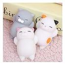 TRU TOYS 3 Pcs Stress Reliever Toys, New Kawaii Original Japan Lazy Cat Mochi Decompress Squishy Squeeze Cat Healing Toy Mini Gifts Toys- (Multicolor)