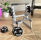 Mini Squat Rack With Barbells And Weights,Funny Stationary Pen Holder Desk Tidy Desk,Fitness Equipment Shape Ornaments Aesthetic Room Decor