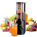 Cold Press Juicer Slow Masticating Fruit Juicer 250W with 80mm Wide Chute juicer machines, Upgraded Non-Clogging Filter, High Yield Juice, for vegetables Celery Wheatgrass Watermelon Carrot