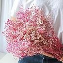 Dried-Babys-Breath-Flowers-Bouquet, 2500+ Pink Flower, 17.2" Natural Gypsophila Branches for Wedding, Gift for Friend Parents, Dry Flowers Bulk for Vase, Home Decor, DIY Wreath Floral (Pink)