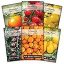 Sow Right Seeds - Cherry Tomato Seed Collection for Planting - Black, Large Red, White, Orange, Bi-Color Cherry and Yellow Pear Tomatoes - Non-GMO Heirloom Varieties to Plant a Home Vegetable Garden