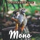 Mono Calendario 2022: Calendario 12 meses 2022 - 8.5 x 8.5 in cuando está cerrado y 8.5 x 17.0 in abierto - Organización y Planificación - Perfecto como regalos, suministros de oficina