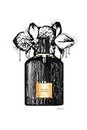 ArtExpert Noir Perfume Orchid by Amanda Greenwood -