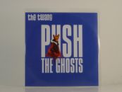 THE TWANG PUSH THE GHOSTS (H1) 1 Track Promo CD Single Picture Sleeve RADAR PLUG