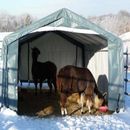 Rhino Shelter Horse/Livestock Animal Run In Shelter House Cover,Tan 12'Wx20'Lx8'