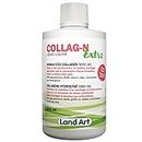Liquid Collagen Extra Supplement – Complete Joint Care Formula – Fast Action – With Hydrolyzed Collagen, Glucosamine, Chondroitin, MSM, Two Natural Anti-Inflammatory, Magnesium & Vitamin C - 500ml – Non-GMO – Gluten Free – No Added Sugar - Made in Canada