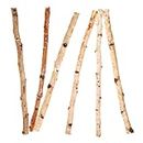 SEWACC DIY Wood Log Sticks 6PCS 40cm Natural Birch Twigs Craft Sticks Twigs Dried Tree Branches Vase Filler Centerpieces