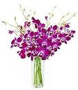KaBloom PRIME NEXT DAY DELIVERY -Mother’s Day Collection - Bouquet of Purple Orchid with Vase - .Gift for Birthday, Anniversary, Get Well, Thank You, Valentine, Mother’s Day Fresh Flowers