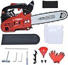 25cc 2-Stroke Gas Chainsaws Powered with Tool Kit 12 Inch Petrol Chain Saw for Cutting Wood Farm Garden