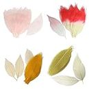 Trendy Retail® 100pcs Natural Magnolia Leaf for Scrapbooking DIY Craft Decors Pink
