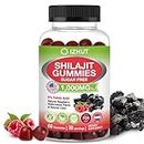 Shilajit Gummies : Himalayan Organic Shilajit for Men & Women - Shilajit Supplement with 5% Fulvic Acid & Sugar Free - Natural Raspberry Watermelon Flavor Gluten Free Non-GMO - Made in USA