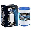 POOLPURE Replacement Spa Filter for PFF25TC-P4, Unicel 4CH-23, Filbur FC-2400, Excel Filters XLS-442, Freeflow Lagas FF-100 CLX Claro, SD-01215, SD-00206, Aladdin 12536, AK-90032 Hot Tub Filter