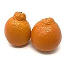 Fresh Minneola Tangelo/Honeybell Oranges - 5 lbs
