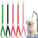 Shinylin 5 Pcs Pet Grooming Loops Nylon Pet Bathing Tether Straps Restraint Noose Dog Grooming Loop Adjustable Fixed Dog Cat Safety Rope for Groomer Pet Grooming Table Bathtub, Vibrant Colors