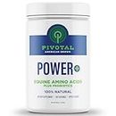 Power+ Horse Supplement (620g/1.36lbs - 100 Servings) - 9 Equine Amino Acids Plus Probiotics for Horses - No Added Sugar, No Soy, No Fillers - Horse Joint Support Supplement