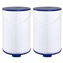Wowreed Spa Filter Compatible with FC-2402, 303279, Free Flow, AquaTerra, Fantasy Hot Tub Filter, 1 1/2" Finer Thread, 2 Pack