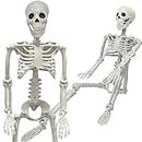 36" Skeleton Halloween Decorations, 3FT Realistic Full Body Movable Posable Joints Skeleton, Creepy Halloween Plastic Skeleton for Graveyard Decorations, Haunted House Props Indoor/Outdoor Decor