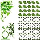 ZXYZLJJD 40PCS Plant Clips Plant Climbing Wall Fixture Clips Plant Wall Clips Self Adhesive Climbing Plant Support Clips Invisible Leaf Shaped Vines Holder for Garden Wall Clip Home Decor