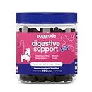 PupGrade Digestive Support Chews for Dogs - Prebiotic and Probiotic Supplement with Enzyme Blend - Upset Stomach, Diarrhea, Bowel, and Immune Support - Pumpkin, Blueberry, Mineral Oil - 60 Soft Chews