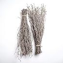 Birch Branches Wedding centerpieces or vase Decoration. Set of 2 Bundles (100 Twigs)