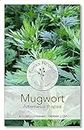 Gaea's Blessing Seeds - Mugwort Seeds - Non-GMO Seeds with Easy to Follow Planting Instructions - Open-Pollinated High Yield Heirloom