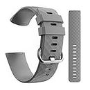 CellFAther Silicone Bands Compatible with Fitbit Charge 4/Charge 3 & SE, Waterproof Strap Fitness Sport Wristband for Women & Men, (Large 180-221 MM) (Grey) (Watch Not Included)