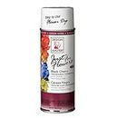 Oasis Floral Products Colour Spray Paint Design Master 128 Black Cherry 312gms-1 No