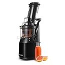 FRIDJA Powerful Masticating Juicer for Whole Fruits and Vegetables, Fresh Healthy Juice, Sorbet, Ice Cream, Wide Mouth 75mm Feeding Chute, BPA Free, 240-Watt, Cold Press, Black Stainless Steel f1900