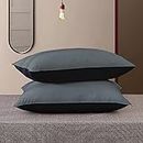 Cloth Fusion Microfiber Bed Pillow Set of 2 Soft Pillows for Sleeping (16x24 Inches, Black-Grey)