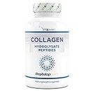 Collagene - 240 capsule - 1500 mg per dose giornaliera - Premium: 100% peptidi idrolizzati di collagene bovino da Peptolap Light - Altamente dosato