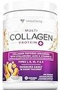 Multi Collagen Peptides Plus Hyaluronic Acid and Vitamin C, Hydrolyzed Collagen Protein, Types I, II, III, V and X Collagen, Peach Mango Flavor