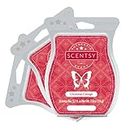 Christmas Cottage Scentsy Bar 3 Pack