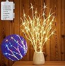 Hairui Lighted Birch Branches Battery Operated 70L 18IN Warm White and Multi Color Fairy Lights 8 Function for Halloween Home Christmas Decor