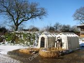 Photo 6x4 Dairy calf in its hutch Hedenham It is present-day farming prac c2010