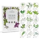 Jon the Gardener Herb Seeds Collection, 15 Herbs Varieties, 15,000 Seeds for Planting UK - Perfect Herb Garden - Mint Seeds, Coriander Seeds, Basil Seeds, and More
