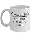 Camelopardalis, Astronomy Gifts, Gift for Astronomer, Giraffe of the Sky, Star gazer gifts